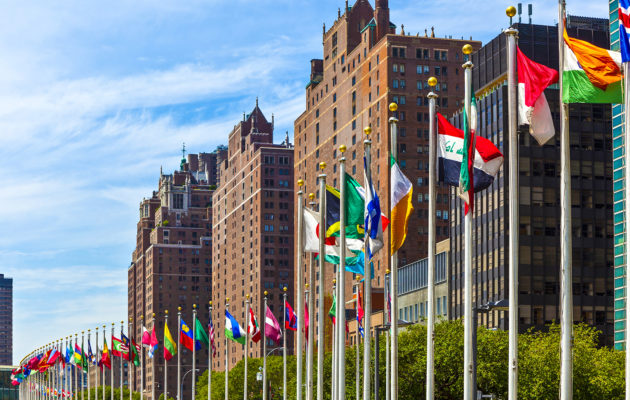 flags of members of UN in New York, America
